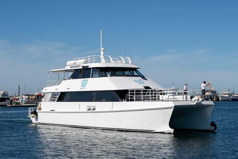 From Fremantle: 2-Hour Luxury Whale-Watching Cruise - The Experience Beyond Whales