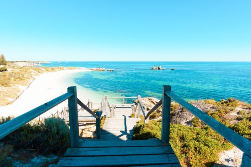 From Fremantle: Rottnest Island Ferry and Bike Day Tour - Possible Drawbacks & Considerations