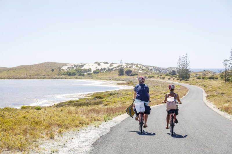 From Fremantle: Rottnest Island Ferry and Bike Day Tour - Who Is This Tour Perfect For?