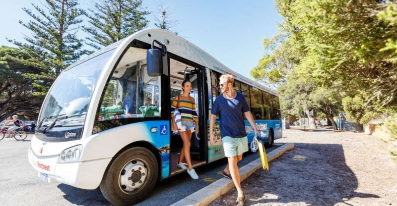 From Fremantle: Rottnest Island Ferry & Bus Day Tour - Key Points