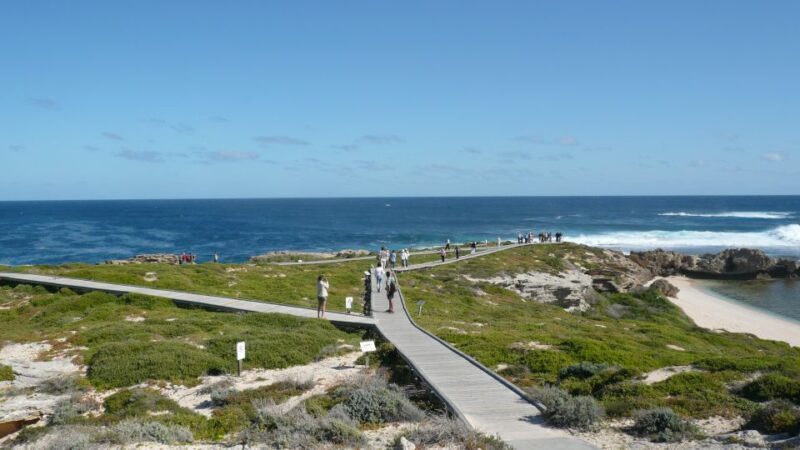From Fremantle: Rottnest Island Ferry & Bus Day Tour - Final Thoughts: Who Will Love This Tour?