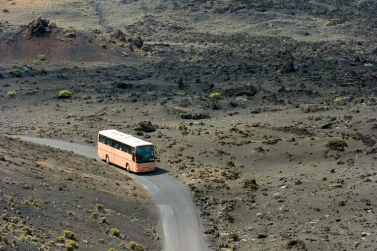 from-fuerteventura-lanzarote-volcano-and-wine-region-tour