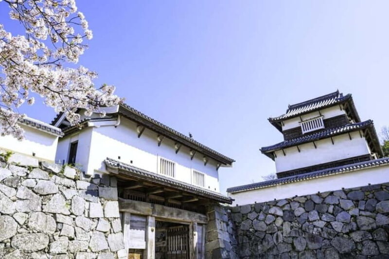 From Fukuoka: 3-Hour Tour of Castle Ruins & Ohori Park - Authenticity and Local Flavor