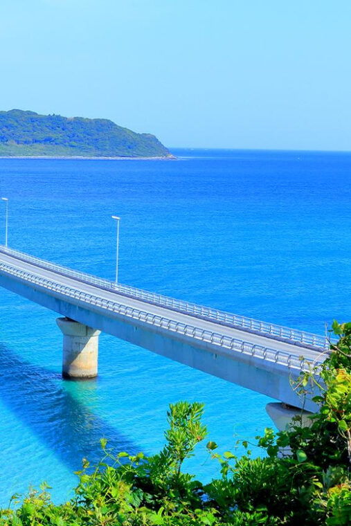 from-fukuoka-day-trip-to-moji-port-subsea-tunnel-shrine