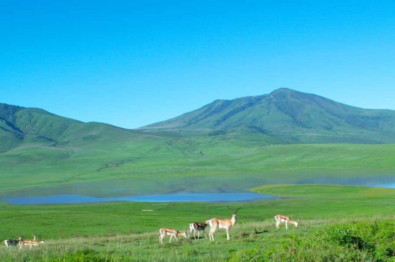 From Fukuoka: Kumamoto Castle and Mount Aso Day Trip - Final Words