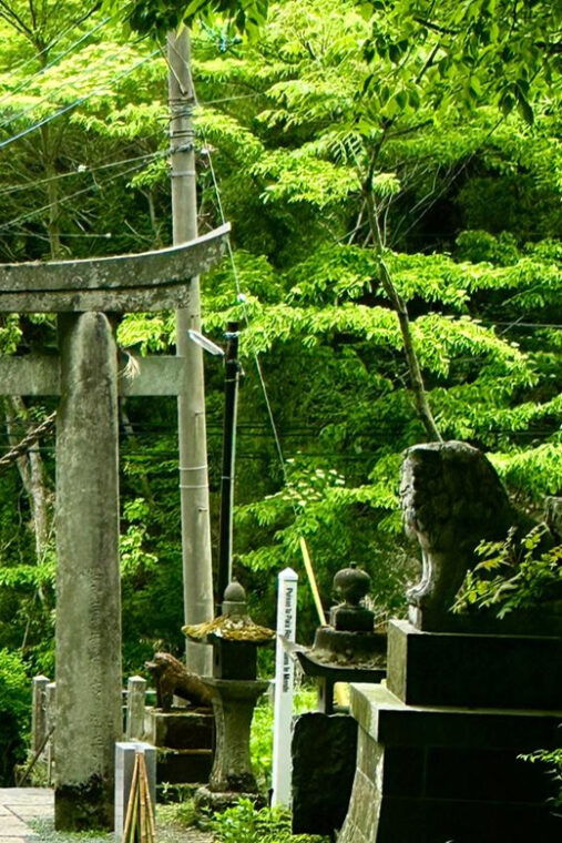 from-fukuoka-miyazaki-kumamoto-and-takachiho-gorge-tour