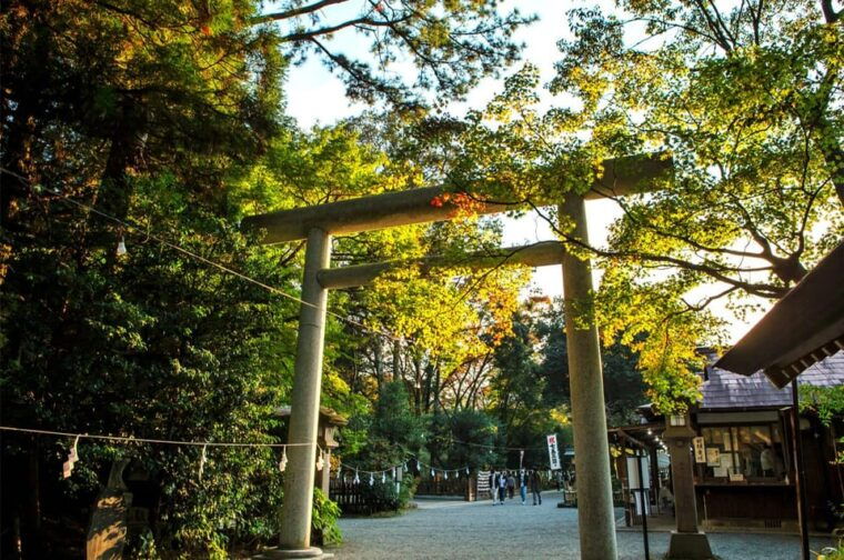 from-fukuoka-miyazaki-kumamoto-and-takachiho-gorge-tour