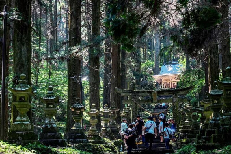 From Fukuoka: Miyazaki, Takachiho Gorge and Shrines Day tour - A Full Breakdown of the Experience