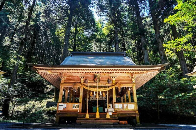 From Fukuoka: Miyazaki, Takachiho Gorge and Shrines Day tour - FAQs