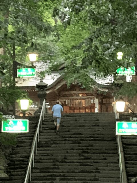 From Fukuoka: Mythical "Takachiho" Day Trip by PRIVATE Bus - Why This Tour Delivers Value