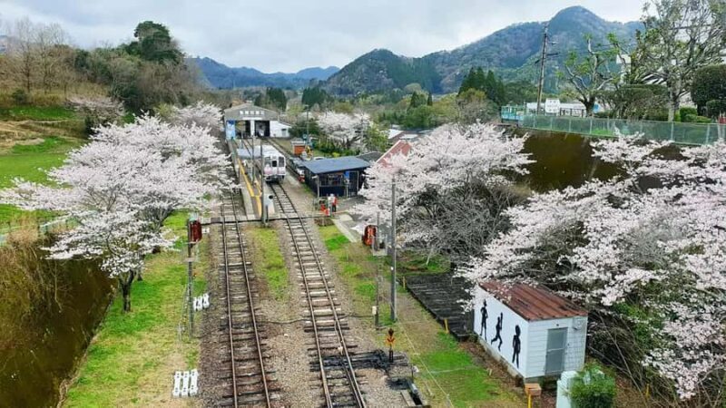 From Fukuoka: Takachiho Gorge & Railway Tour with Boat - Frequently Asked Questions