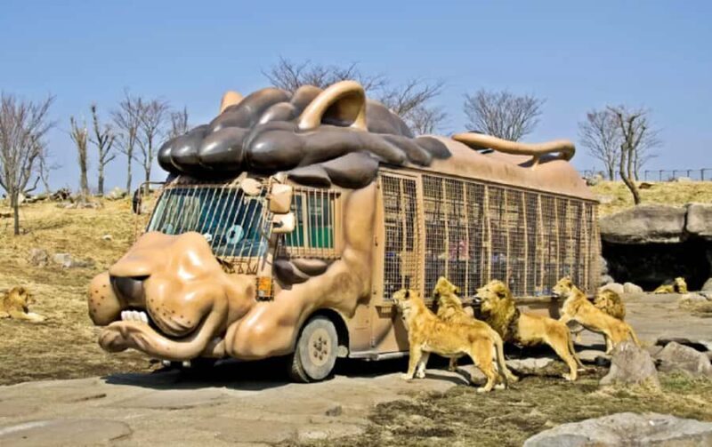 From Fukuoka: Yufuin, Beppu, Wildlife Park & Onsen Day Trip - Exploring the Kyushu Day Trip from Fukuoka: What to Expect