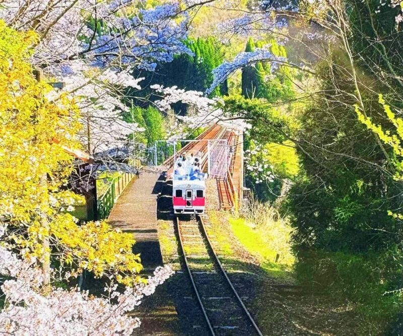 From FukuokaTakachiho Classic Day Tour: Gorge, Train & Cave - A Closer Look at the Fukuoka Takachiho Classic Day Tour