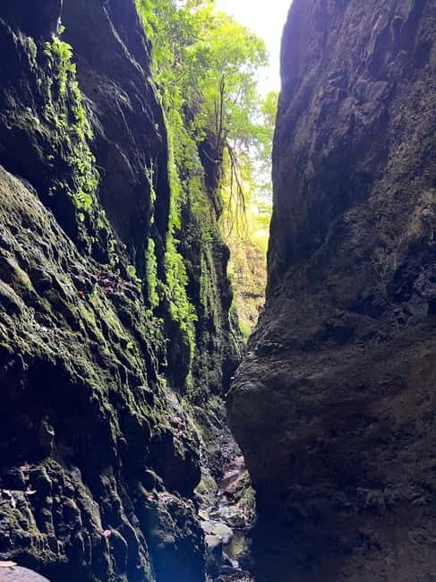 From Funchal: Advanced Canyoning Experience in Madeira - FAQs