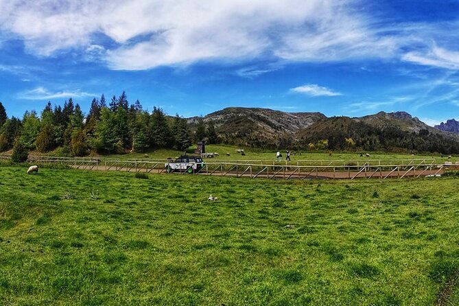 from-funchal-best-of-madeira-island-west-tour