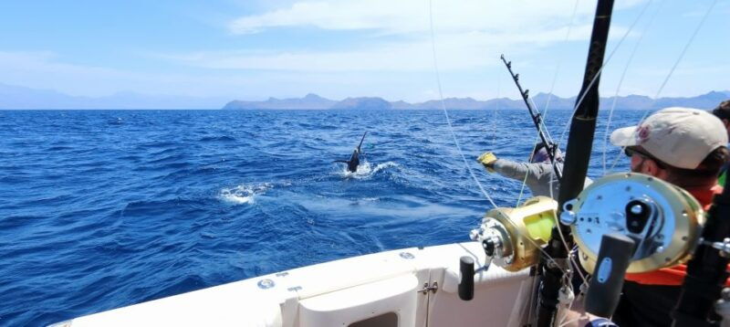 from-funchal-big-game-fishing-boat-trip