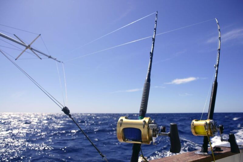 from-funchal-big-game-fishing-boat-trip