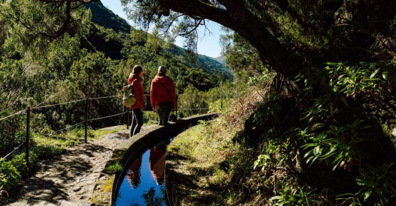from-funchal-canico-rabacal-hike-25-fontes-bus-transfer