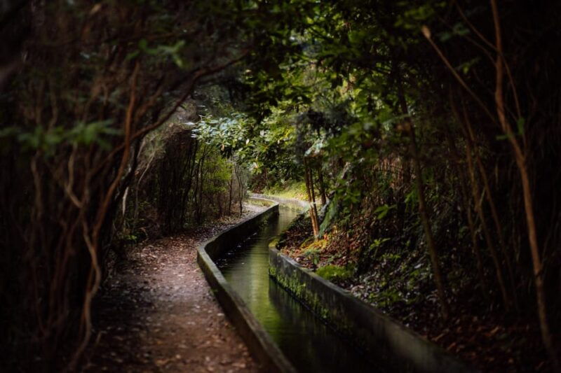 from-funchal-canico-rabacal-hike-25-fontes-bus-transfer