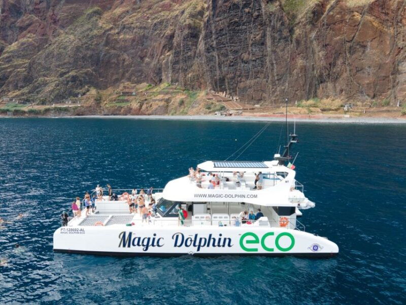 from-funchal-ecological-catamaran-dolphin-whale-watching