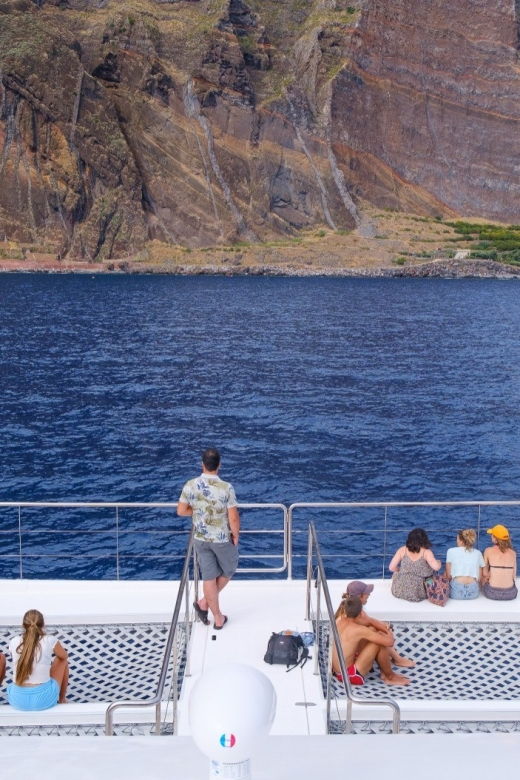 from-funchal-ecological-catamaran-dolphin-whale-watching