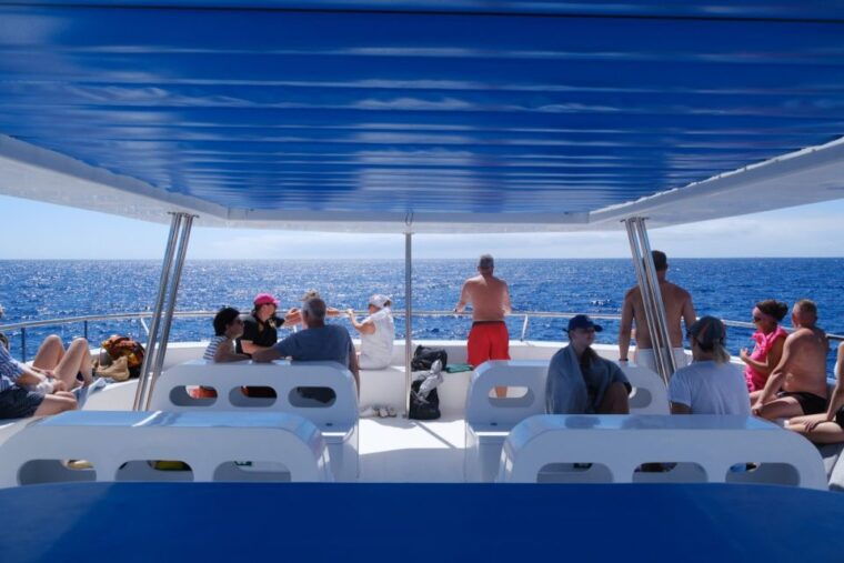 from-funchal-ecological-catamaran-dolphin-whale-watching