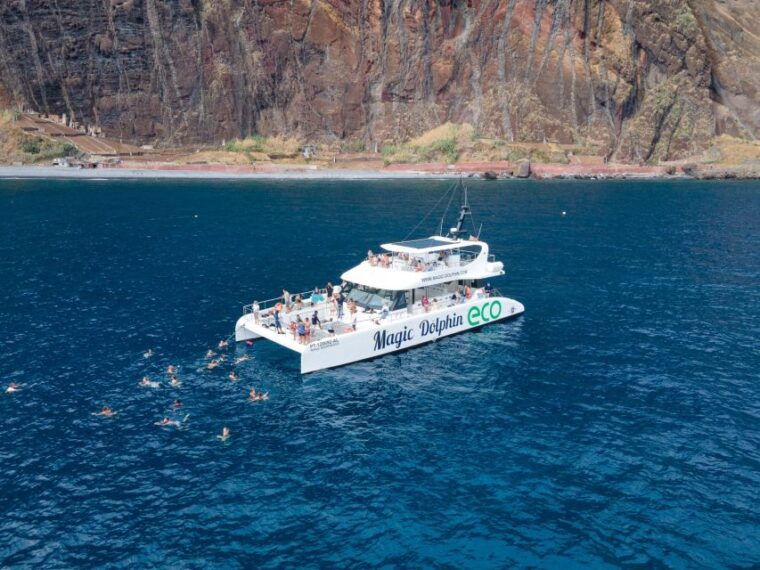 from-funchal-ecological-catamaran-dolphin-whale-watching