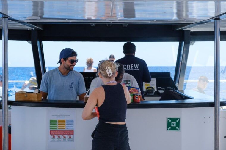 from-funchal-ecological-catamaran-dolphin-whale-watching