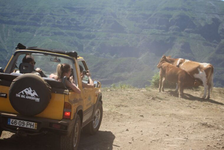 from-funchal-guided-tour-of-madeira-mountains-in-a-jeep