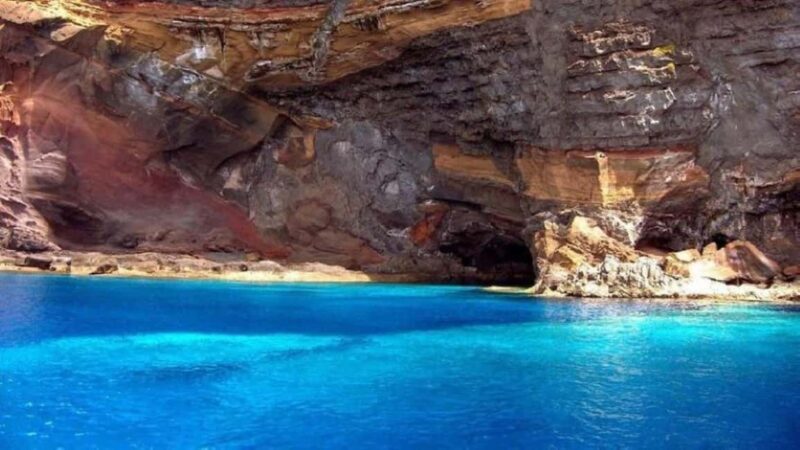 From Funchal: Guided Tour to Desertas Islands - Key Points