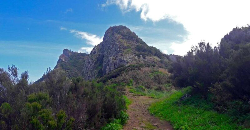 from-funchal-machico-to-porto-da-cruz-larano-cliff-hike
