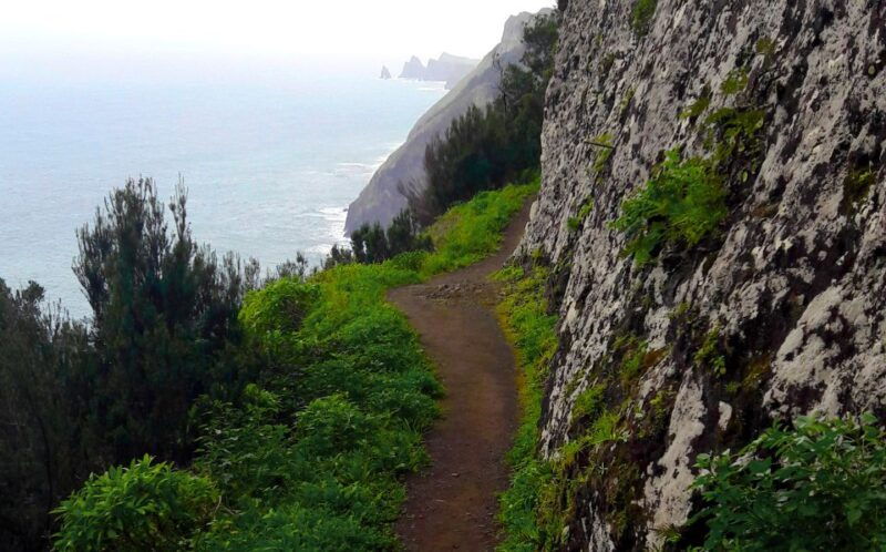 from-funchal-machico-to-porto-da-cruz-larano-cliff-hike