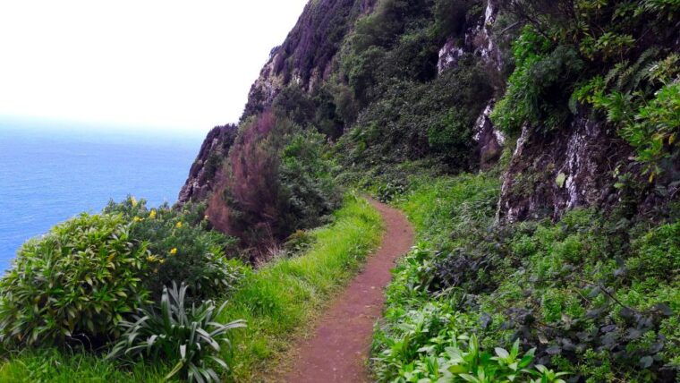 from-funchal-machico-to-porto-da-cruz-larano-cliff-hike
