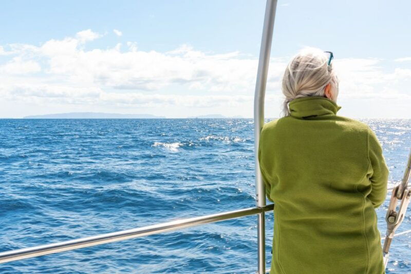 from-funchal-madeira-dolphin-and-whale-watching-tour
