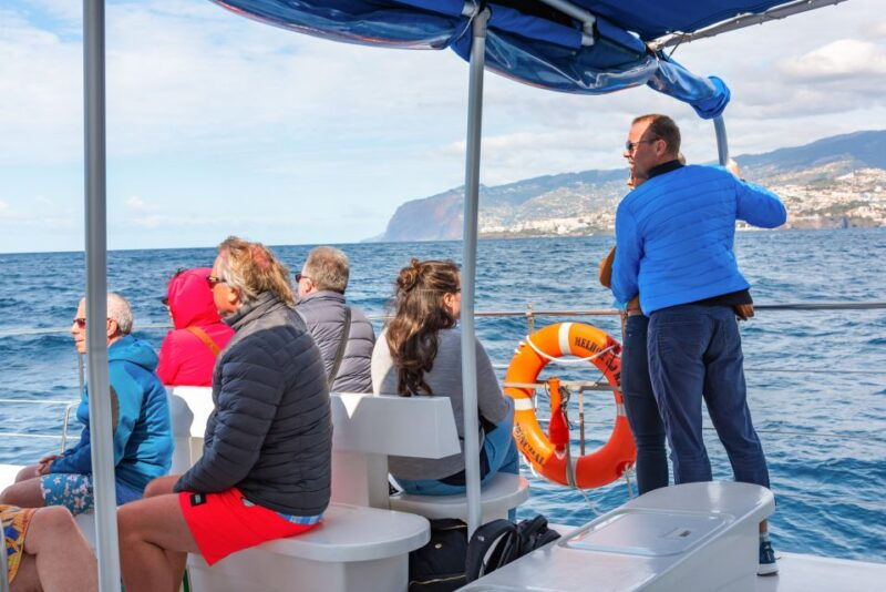 from-funchal-madeira-dolphin-and-whale-watching-tour