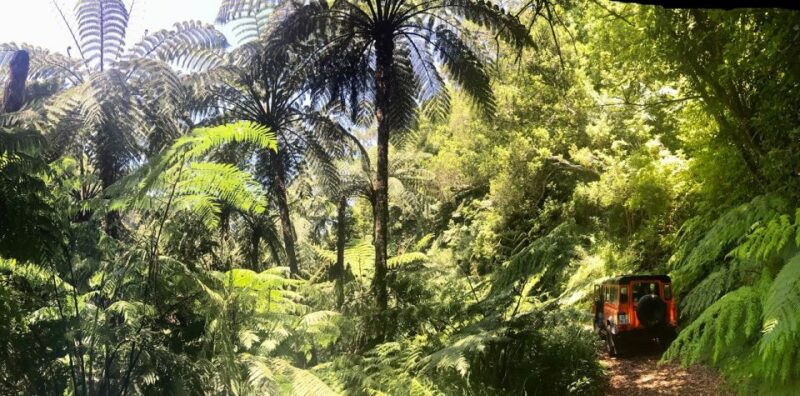 from-funchal-madeira-island-private-jeep-4x4-tour
