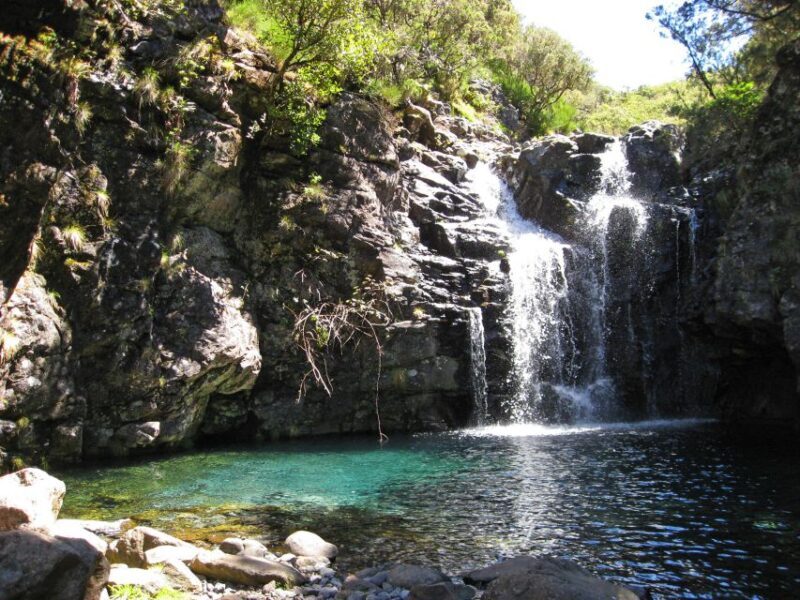 From Funchal: Madeira Lakes Levada Guided Hike - A Closer Look at the Madeira Lakes Levada Guided Hike