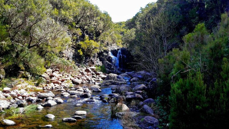 from-funchal-madeira-lakes-levada-guided-hike