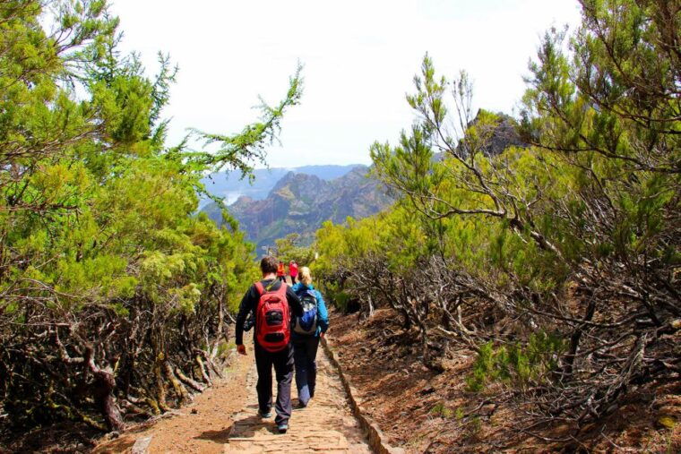 from-funchal-madeira-peaks-mountain-walk