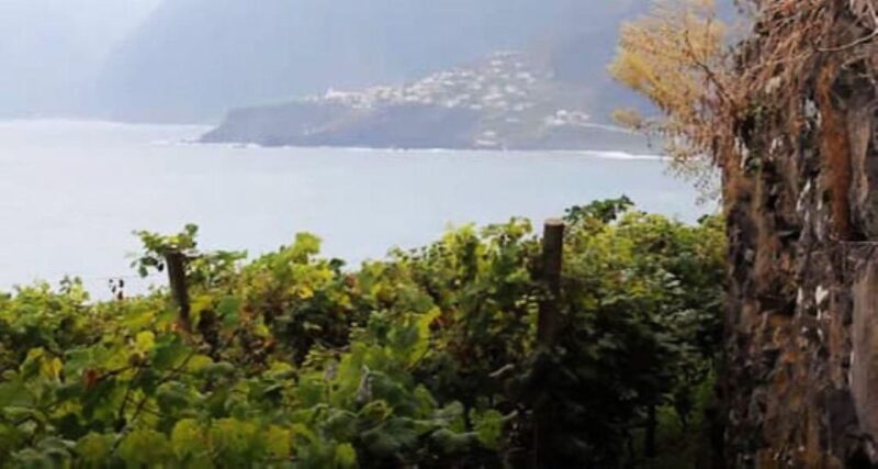 From Funchal: Madeira Wine Tour, Cable Car & Typical Lunch - What’s Included and Why It Matters
