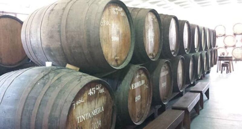 From Funchal: Madeira Wine Tour, Cable Car & Typical Lunch - Authentic Insights from Past Participants
