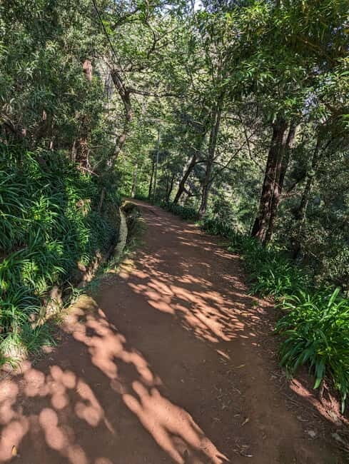 From Funchal: Pico Arieiro Sunrise with Optional Breakfast - FAQ