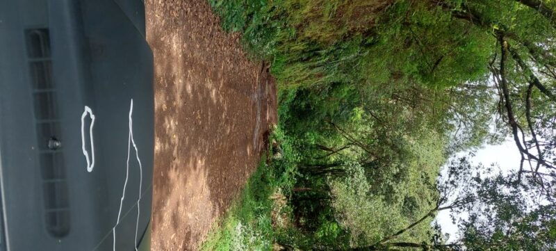 from-funchal-pico-do-arieiro-and-santana-full-day-4x4-tour