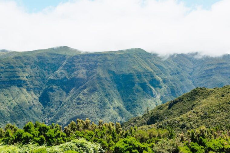 from-funchal-porto-moniz-and-seixal-day-tour-by-jeep
