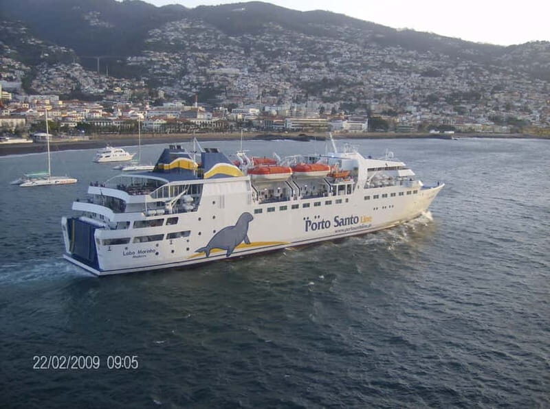 From Funchal: Porto Santo 1-Day Cruise and Tour - Practical Details: What You Need to Know