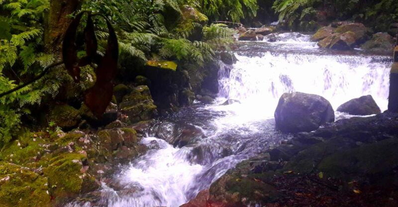 from-funchal-sao-jorge-valleys-levada-walk
