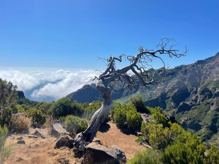 from-funchal-transfer-to-pico-do-arieiro-pico-ruivo-trail