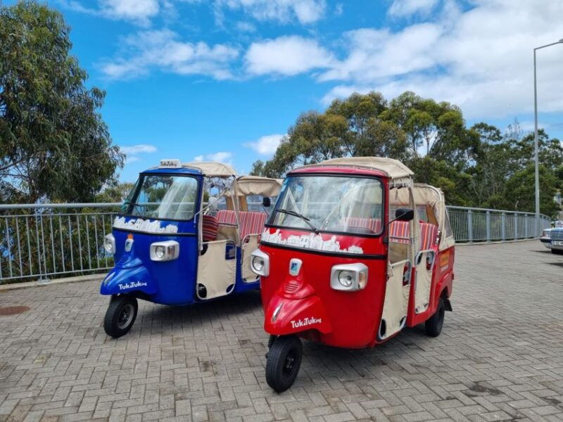 from-funchal-tuk-tuk-tour-to-camara-de-lobos-and-cabo-girao