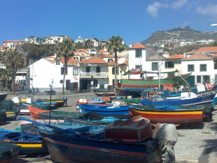 from-funchal-west-madeira-waterfalls-and-fanal-forest-tour