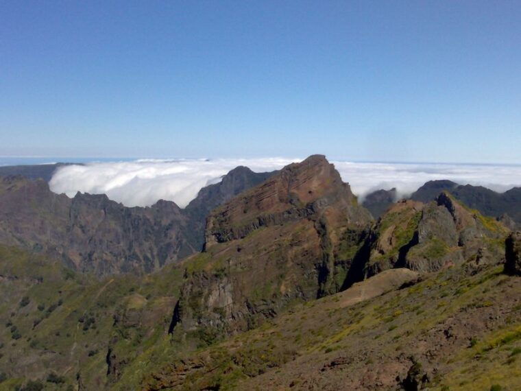 from-funchal-west-madeira-waterfalls-and-fanal-forest-tour